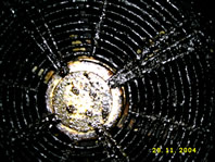 Kitchen Extract Fan before cleaning photo